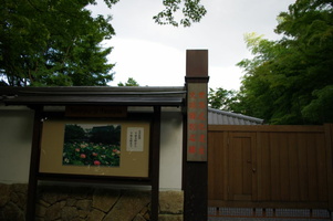 2010-07-23 Kyoto 081